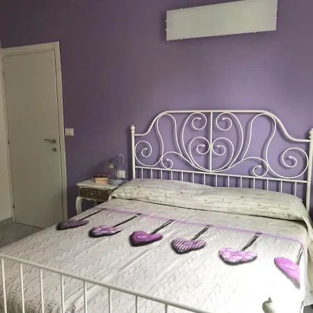 Polly * راباللو