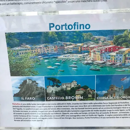 Polly Διαμέρισμα *