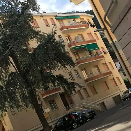 Polly Apartment