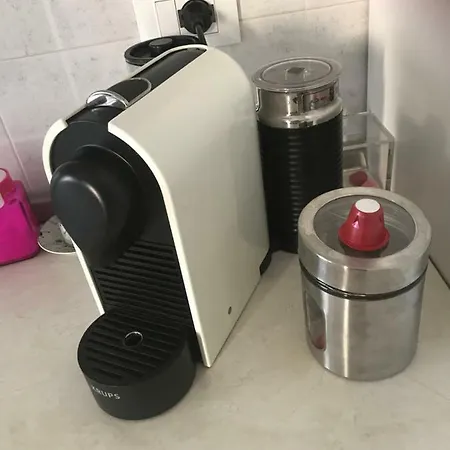 Polly * ראפאלו