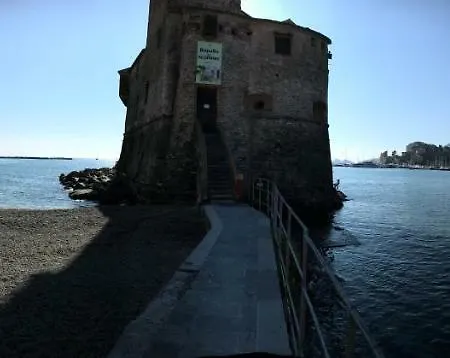 Polly * Rapallo