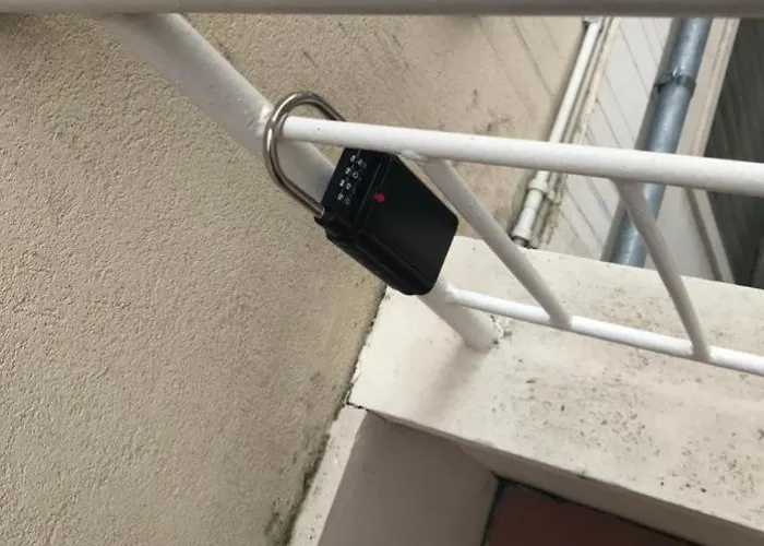 Polly * راباللو