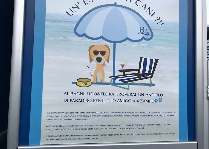 Polly * Ραπάλο