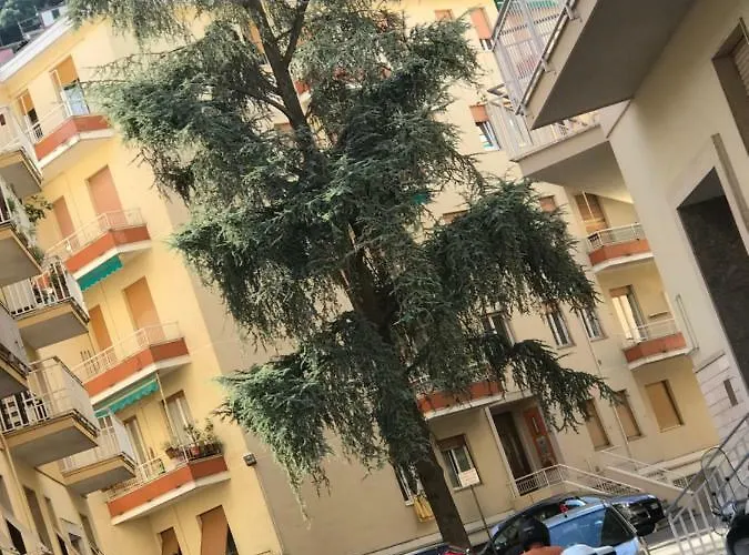 Polly Διαμέρισμα *