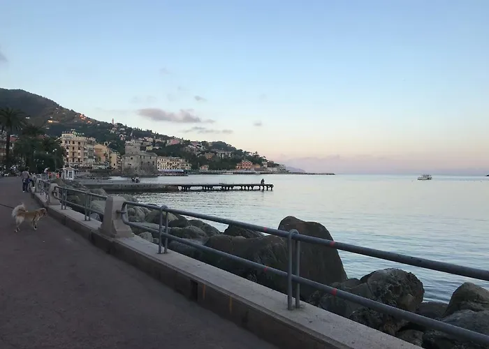 Polly Διαμέρισμα *