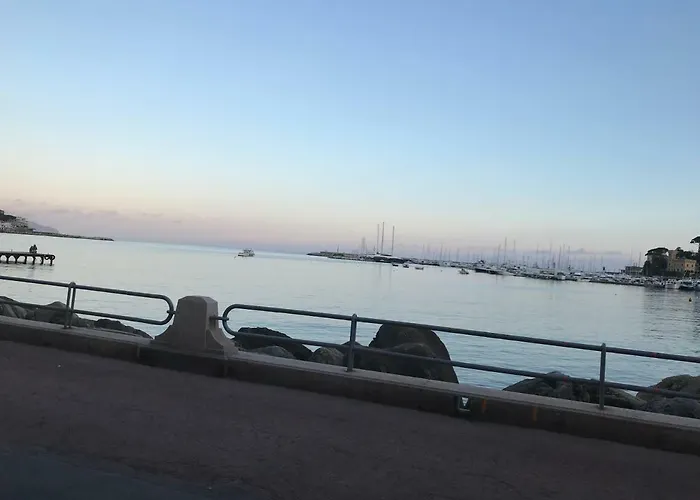 Polly * راباللو