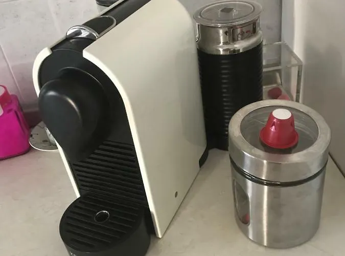 Polly * راباللو