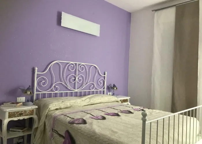 Polly راباللو