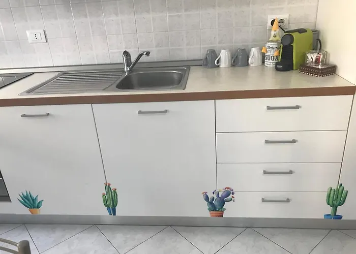 Polly * راباللو